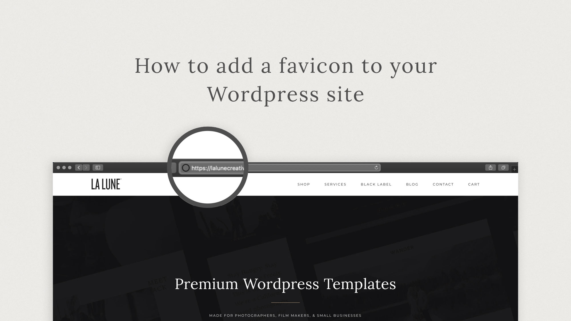 How to add a favicon to your WordPress site.