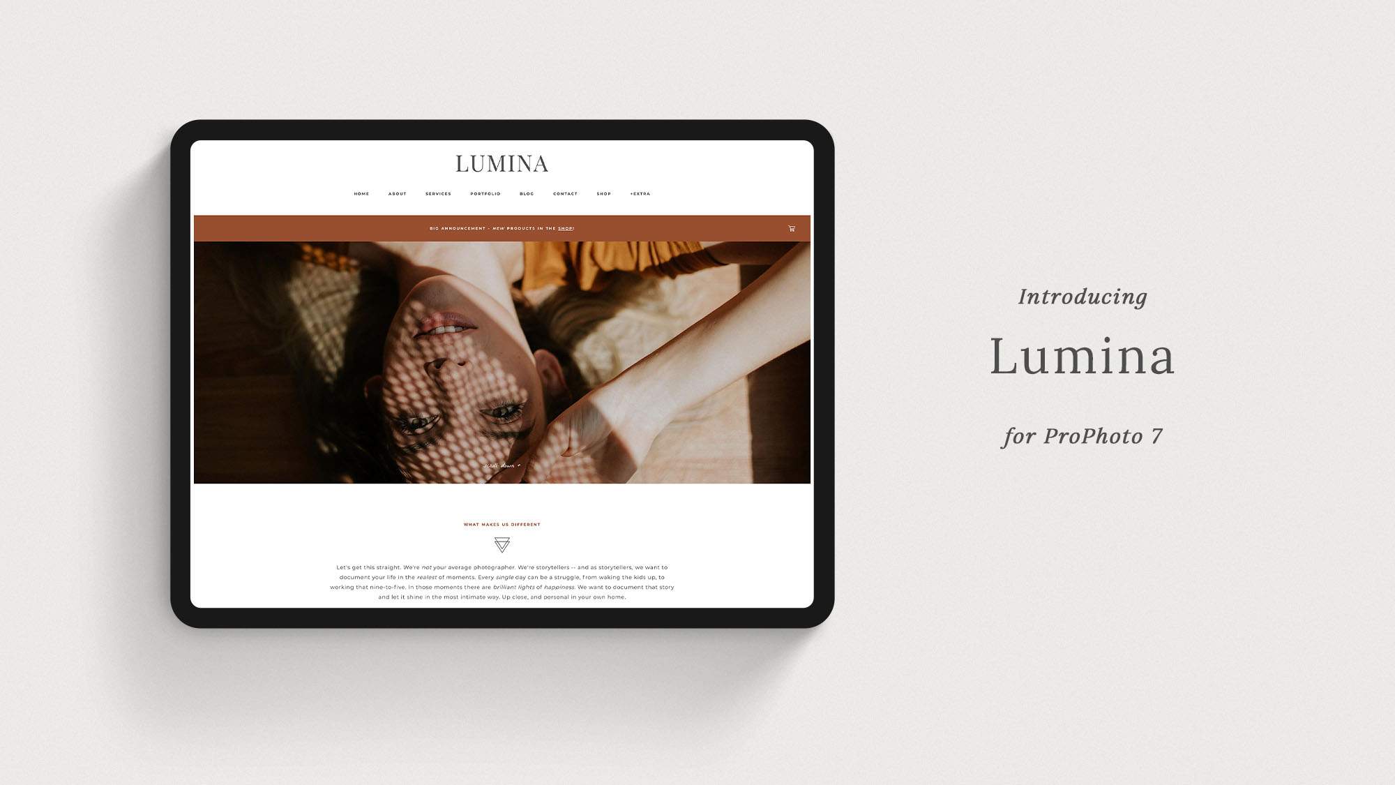 https://lalunecreative.com/wp-content/uploads/2020/03/lumina-prophoto.jpg