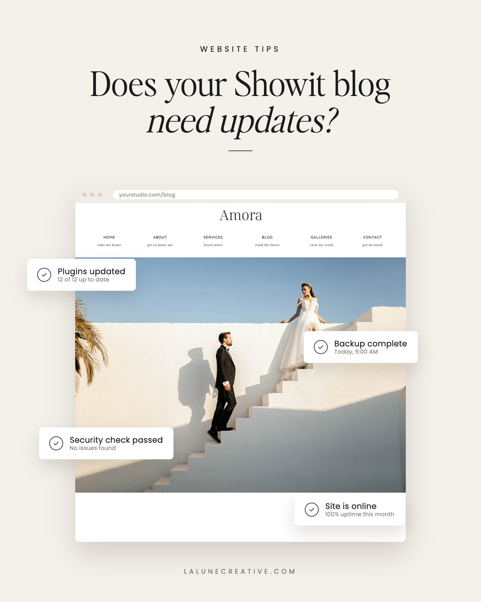 Does your Showit blog need updates? Website maintenance checklist graphic